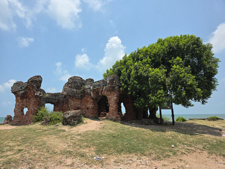 Into the Skies: Wild Quest Birding Tour in Mannar