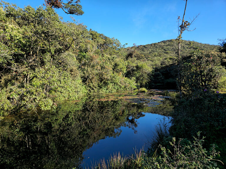 Horton Plains Expedition – Misty Trails & Scenic Wonders